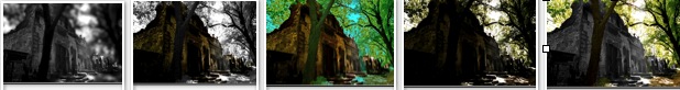 pasted-graphic-37-2