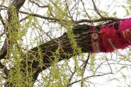 pasted-graphic-3
